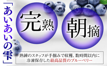 ジューシーで濃厚な甘み！佐々町産冷凍ブルーベリー「あいあいの雫」300ｇ×4袋【堀内フルーツファーム】[QAT017]