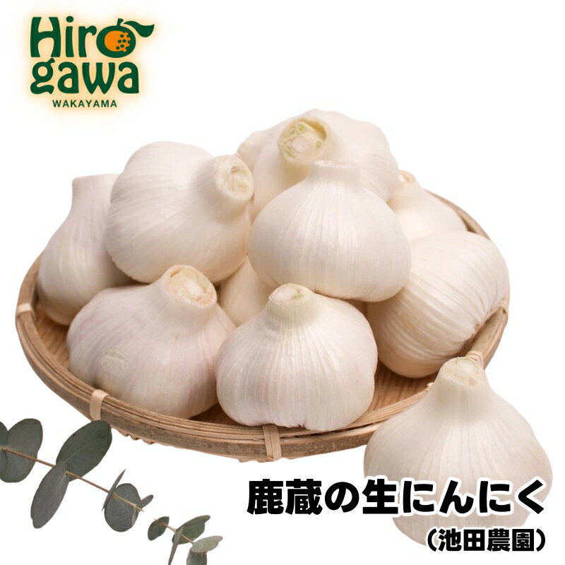 【ふるさと納税】 生 にんにく / 生にんにく 国産 厳選 家庭用 500g 1kg 2kg 5000円 ※5月上旬～5月下旬に順次発送 ※北海道・沖縄・離島への配送不可 //vegi