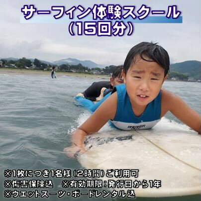 【ふるさと納税】サーフィン 体験 スクール （15回分）［1509］