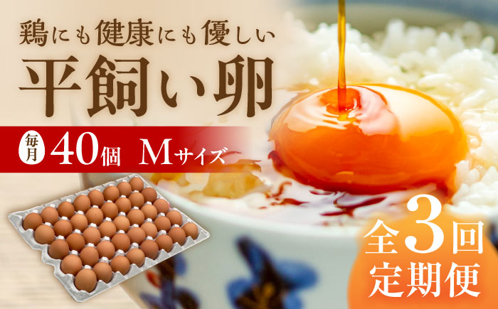 ★3回定期便★こだわりの卵「天上卵」40個セット★3回定期便★ 糸島ファームハウスUOVO/鶏卵/平飼い/たまご/玉子 [AKH006]