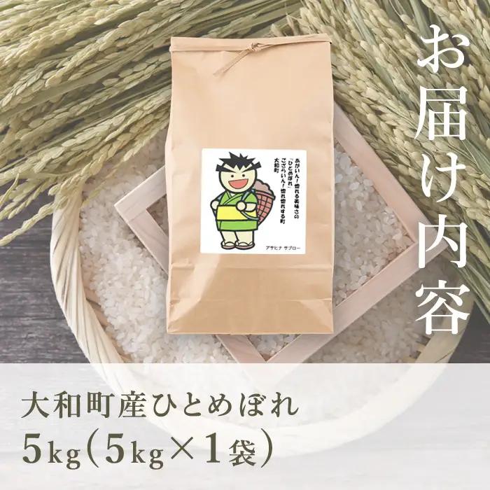 【令和8年産 新米】＜先行予約受付中！R8年9月下旬から順次発送予定＞ お米農家直送！ひとめぼれ 5kg (5kg×1袋) お米 おこめ 米 コメ 白米 ご飯 ごはん おにぎり 宮城米 新米 お弁当 