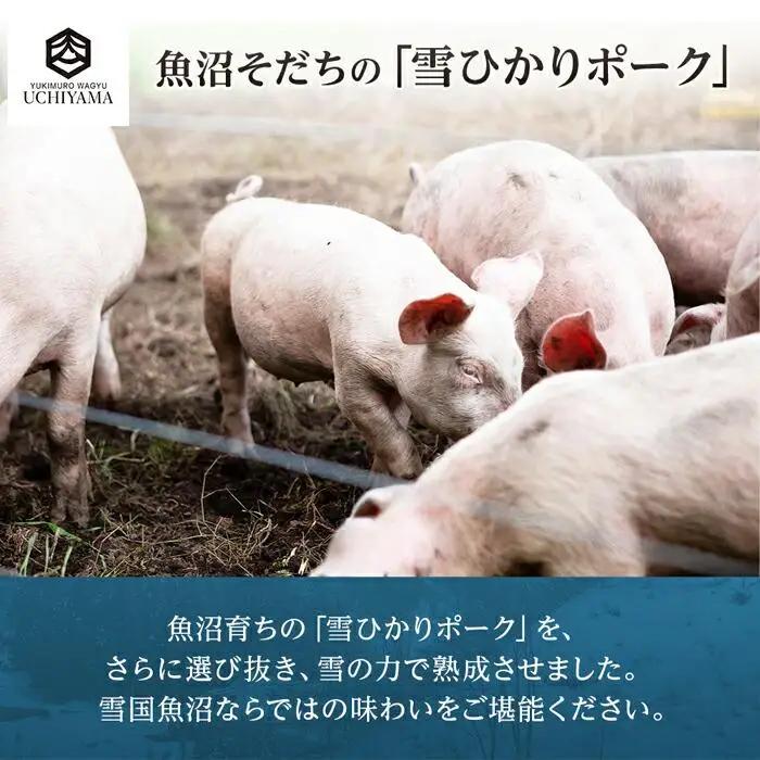 無地熨斗 豚 肩ロース 130g 4枚 計520g 雪ひかりポーク 肉 豚肉 国産 発酵 熟成 新潟県 南魚沼市 冷凍のし gift お土産 プレゼント 贈答 贈答品  YUKIMURO WAGYU 