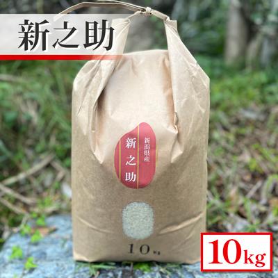 ふるさと納税 五泉市 【令和7年産米】新潟県産　新之助　10kg