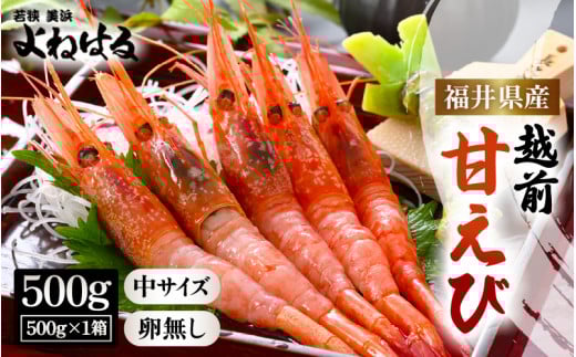 【先行予約】天然！越前甘エビ(卵なし) 中サイズ 500g × 1(約35尾入り) 【2025年7月より順次発送予定】 解凍方法説明書付き 船内凍結 酸化防止剤不使用！甘エビ本来の味をお楽しみください えび エビ 海老 甘エビ 甘えび 人気 海鮮 お刺身 魚介 おせち 無添加 冷凍 福井県産[m17-a057]