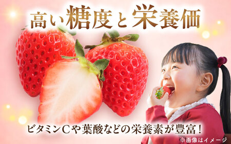 【先行予約・2月中旬以降発送】 「ベリーツ」平大玉 約280g×2パック　日田市 / 株式会社スカイファーム[AREU001]