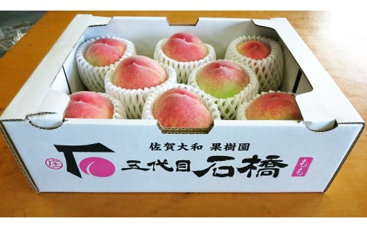 
                  石橋果樹園 日川白鳳 2kg(8～10玉)
                