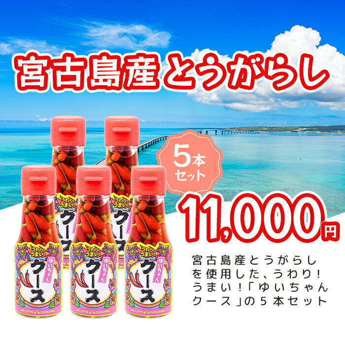 【ふるさと納税】うわり！うまい！「ゆいちゃんクース」5本セット（DQ042）
