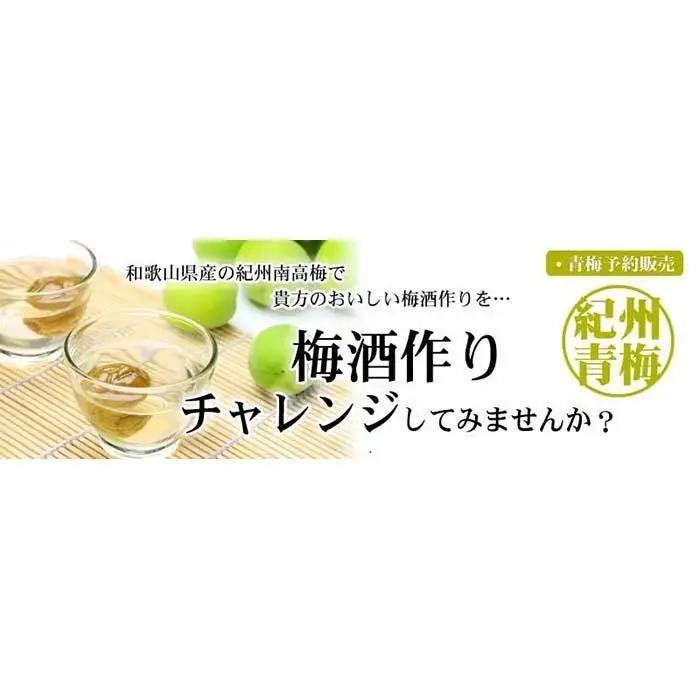 南高梅【緑】10kg 大サイズ 厳選南高梅 梅酒用 フレッシュ青梅 (生梅) ／紀伊国屋文左衛門本舗