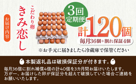 【3回定期便】【卵】きみ恋し 箱入り 40個（36個+割れ保証4個）×3ヶ月 総計120個  [AFAJ001] 