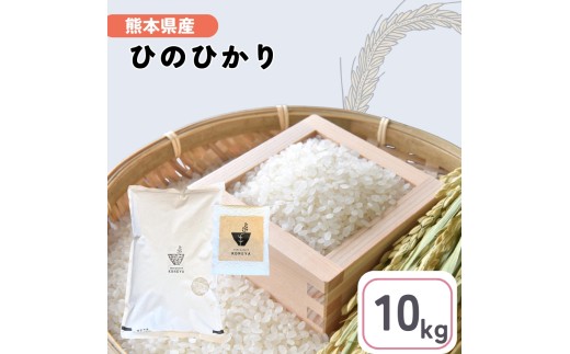 熊本県産 「 ヒノヒカリ 」 10kg | 米 こめ お米 おこめ 白米 精米 ひのひかり 熊本県 玉名市