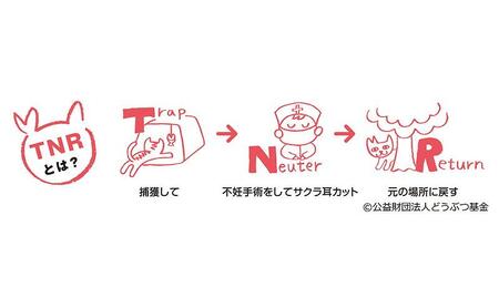 【さくらねこTNR活動支援 】静岡市産 抹茶入り水出し煎茶ティーバッグ 5g 10個入 × 4袋（計40ティーバッグ・約40リットル分）◆