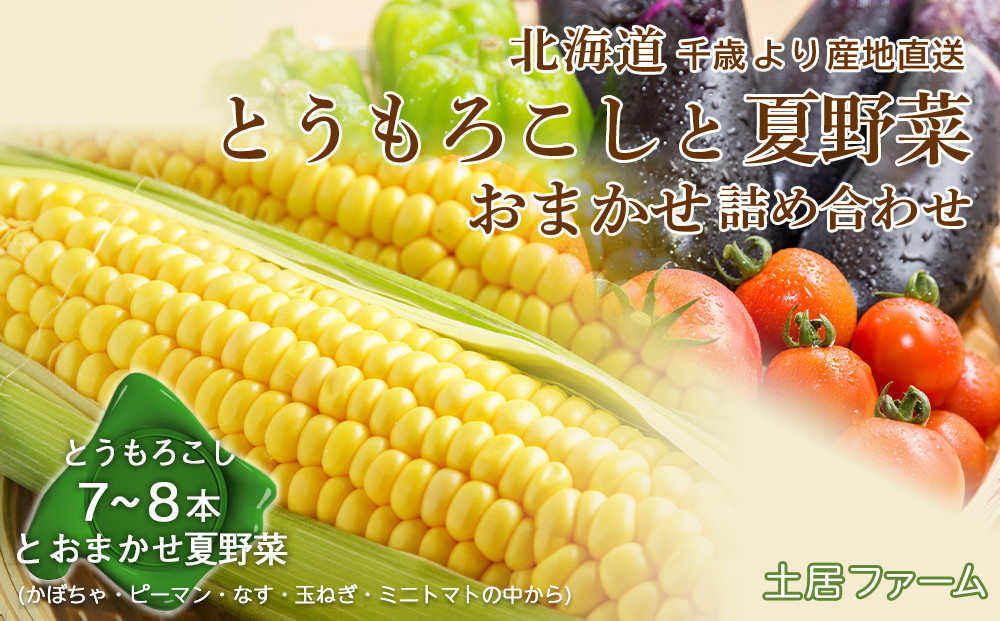 
            2025年夏発送 とうもろこしと夏野菜 おまかせ 詰め合わせセット【土居ファーム】
          