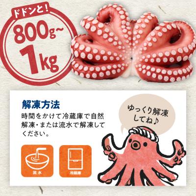 ふるさと納税 呉市 冷凍 国産 地だこ 1尾 (約800g〜1kg) |  | 03