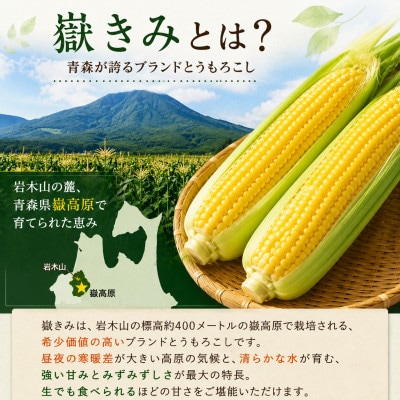 とうもろこし 朝採り 嶽きみ(だけきみ) 10本 L～2Lサイズ 冷蔵【配送不可地域：離島・沖縄県・九州】