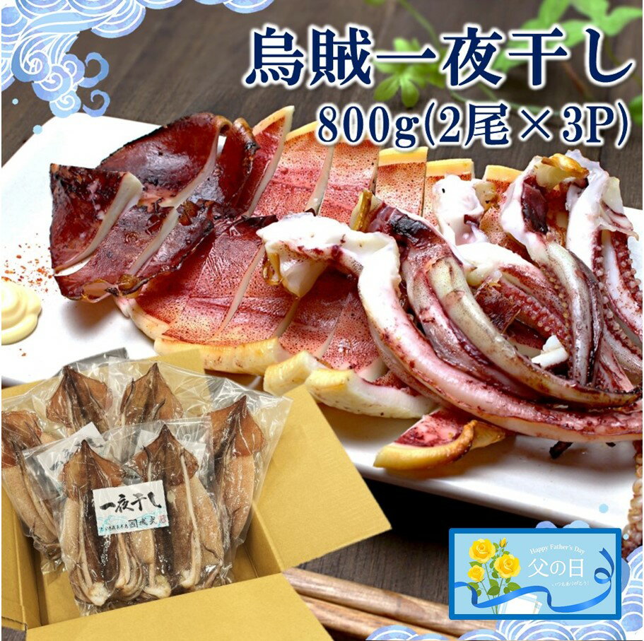 【ふるさと納税】【父の日ギフト】 絶品！ 磯武の国産肉厚烏賊 一夜干し 800g ( 2尾×3P ) イカ いか 父の日 つまみ 肴