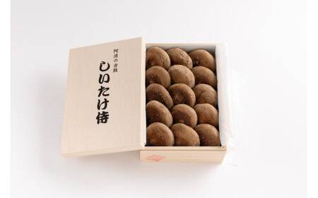しいたけ侍 木箱 1箱15個入り しいたけ