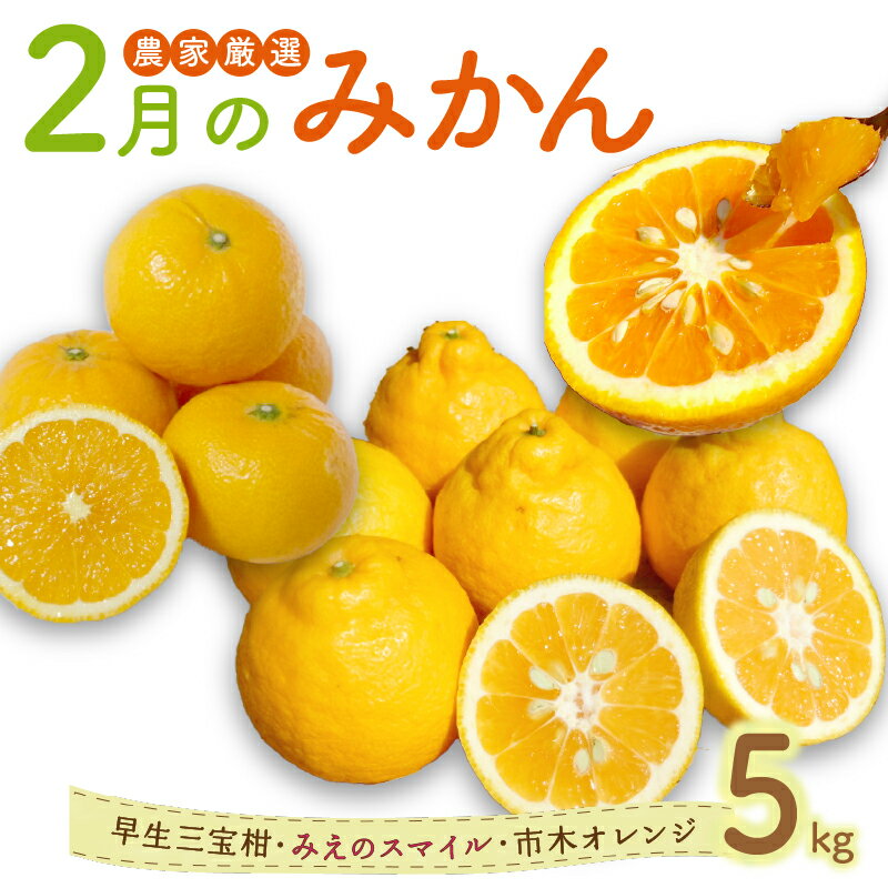 【ふるさと納税】2月の御浜柑橘 早生三宝柑 みえのスマイル 市木オレンジ 詰め合わせ セット 5kg【御浜町でとれたみかん詰め合わせをお届け！】