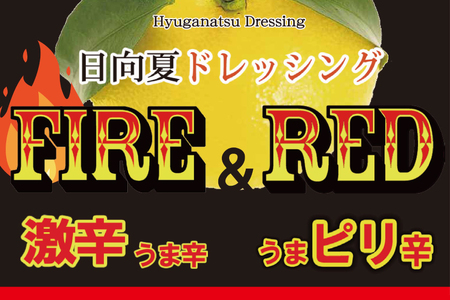 ドレッシング 日向夏 ドレッシングRED うま ピリ辛 タイプ  295ml 5本 小分け袋付き