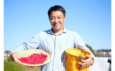 熊野唐辛子ギフト④（一味唐辛子（プサジュエラ）×2本と生唐辛子のセット）