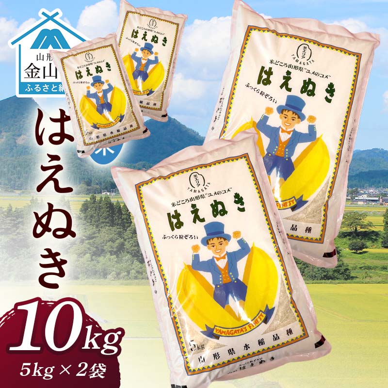 【ふるさと納税】令和7年産 金山産米 はえぬき 【精米】（5kg×2袋） 計10kg 米 お米 白米 ご飯 精米 ブランド米 送料無料 東北 山形 金山町 F4B-0682