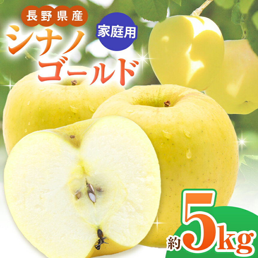 【ふるさと納税】 *【2025年先行予約】家庭用 シナノゴールド 5kg ｜ 北條農園 リンゴ りんご 林檎 果物 フルーツ 果実 果汁 シナノゴールド 家庭用 長野県 松川村 信州