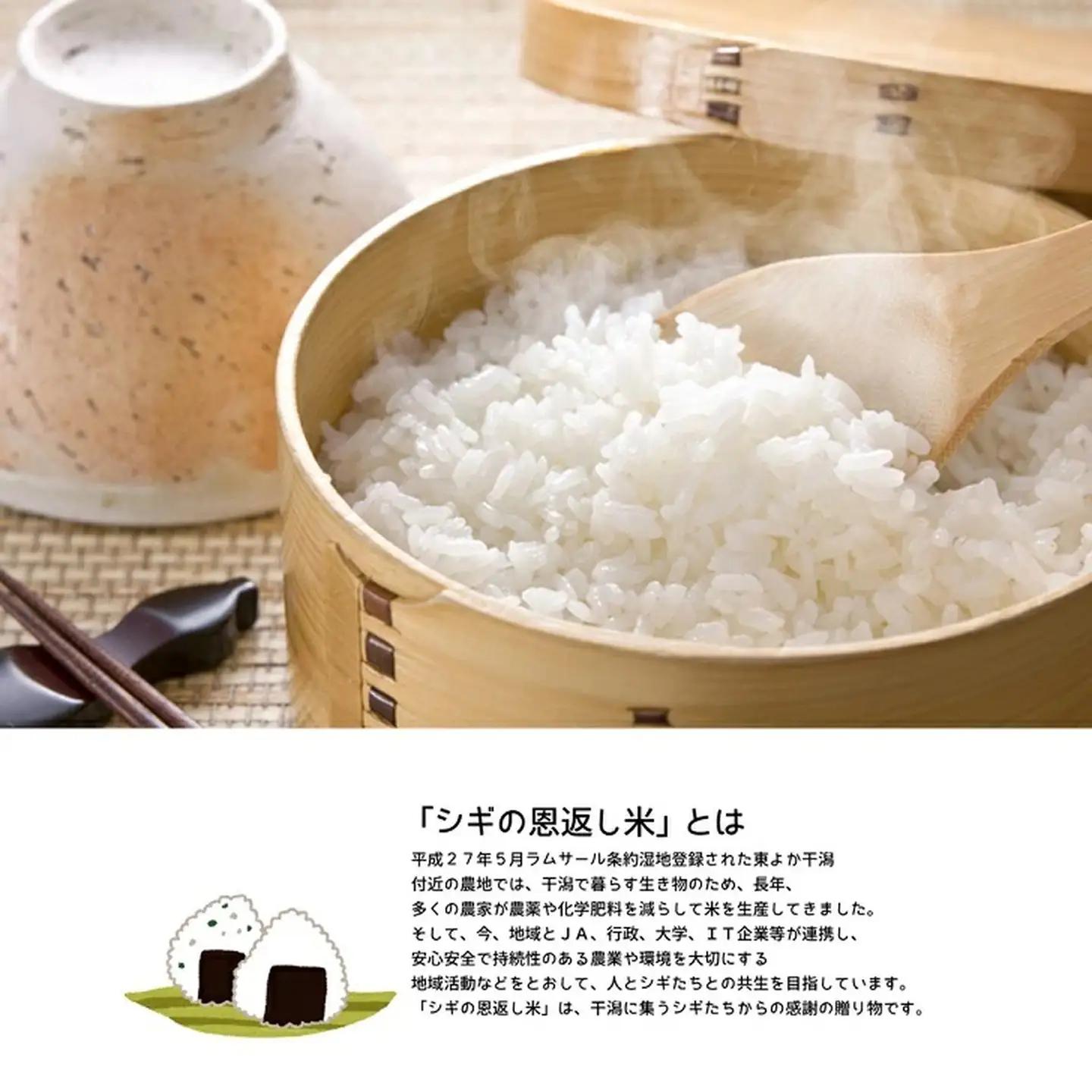 ＜白米＞佐賀東与賀産シギの恩返し米（特別栽培米夢しずく）10kg：B290-011