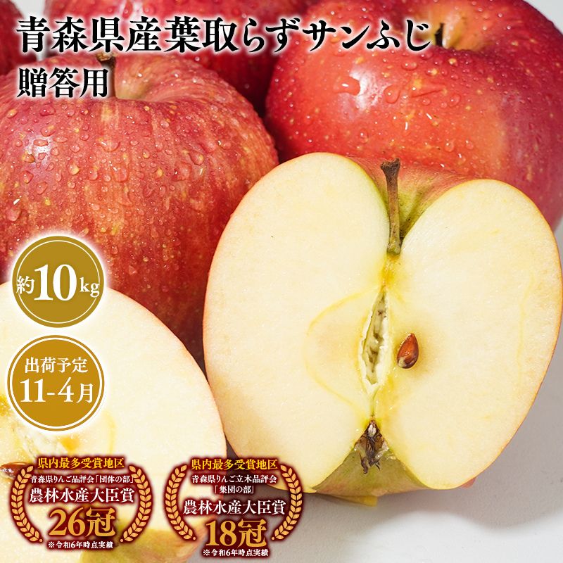 2026年産１１月～4月発送　贈答用葉とらずサンふじ10kg【青森県 平川市 そと川りんご園】１１月～４月発送 贈答 青森 青森県産 平川 葉とらず サンふじ ふじ りんご リンゴ 林檎 くだもの 果物 フルーツ 