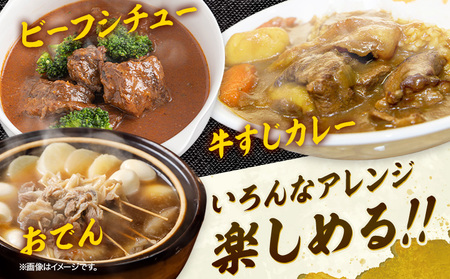 【6ヶ月定期便】 赤牛 スジ 1kg×1パック×6回 《お申し込みの翌月発送》牛肉 肉 あか牛 牛スジ 牛すじ 煮込み カレー 熊本県産 冷凍