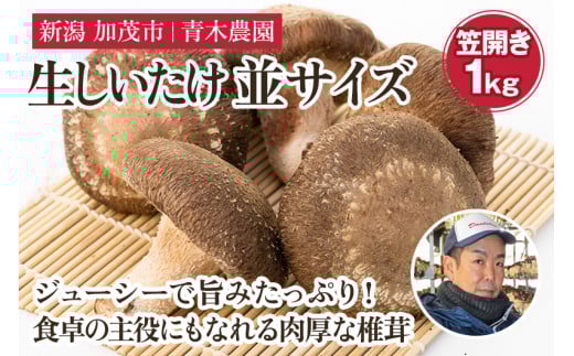 【2025年先行予約】生しいたけ 並サイズ（笠開き） 約1kg（23～35個）《10月中旬から順次出荷》 品評会で金賞受賞！ きのこ しいたけ 椎茸 特大 食べ応えある大きさ 肉厚で旨味たっぷり！ 加茂市 青木農園