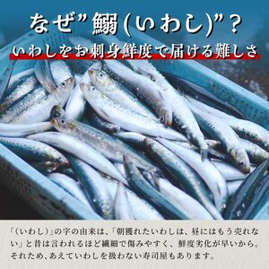 北海道産「刺身いわし」【20枚×4パック(40尾分)】_K010-1520