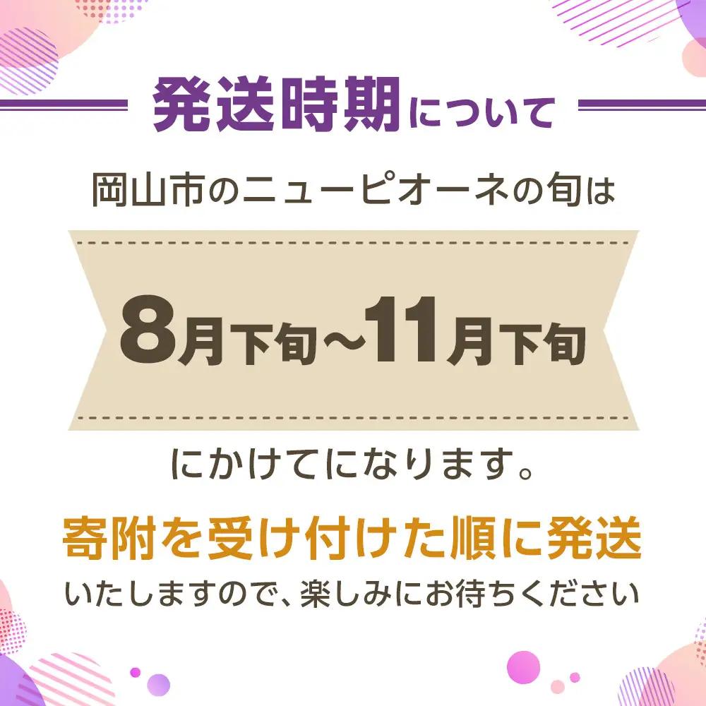 ご家庭用 ニュー ピオーネ 約400g×2房 岡山県産｜  ピオーネ