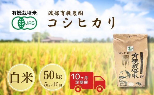 【定期便】コシヒカリ 白米 50kg ( 5kg ×10月)  JAS有機米 令和7年産 | JAS 有機米 精米 白米 玄米 コメ ブランド米 50キロ 10回 福島 福島県産 渡部有機農園 福島産コシヒカリ 福島産こしひかり