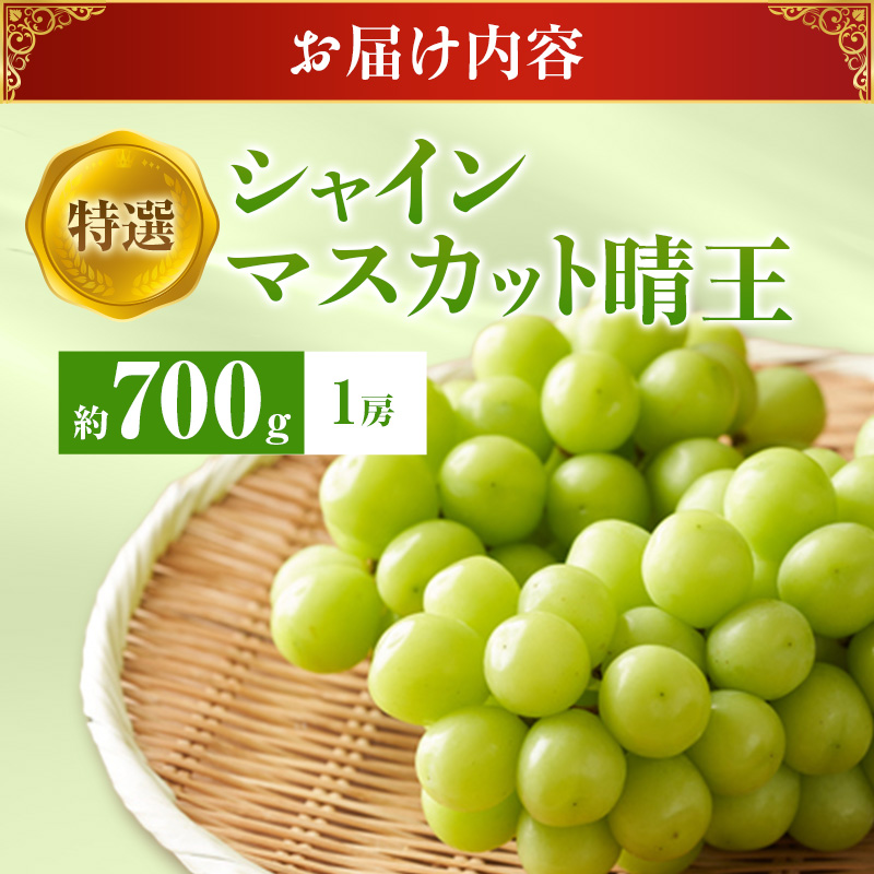 【2026年先行受付】 シャインマスカット 晴王 特選 大房 約700g 1房  化粧箱入 岡山県産 ぶどう 葡萄 ブドウ ギフト 御礼 プレゼント 御礼 御祝 御供 果物 くだもの フルーツ