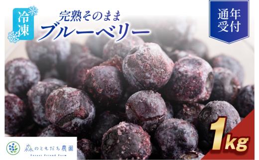 森のともだち農園 冷凍ブルーベリー 1kg【V003270K1】