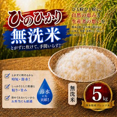ふるさと納税 玉名市 【毎月定期便】熊本県産 ひのひかり 無洗米 5kg全6回