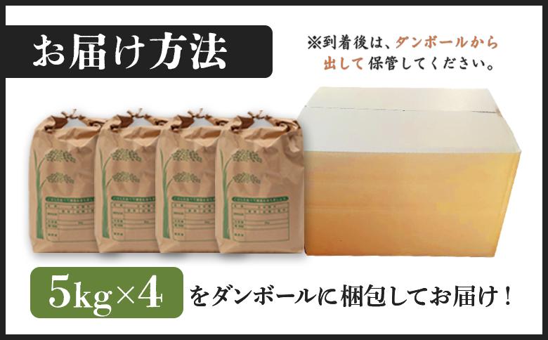 【新米予約】 2026年産 ゆめぴりか 20kg（5kg×4袋）