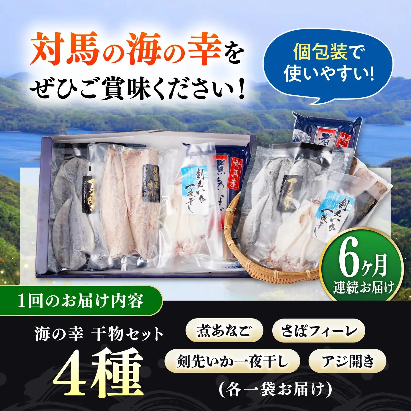 【全6回定期便】対馬 海の幸 干物 セット [WAC028]冷凍 魚 イカ 鯵 アジ 剣先いか さば 穴子