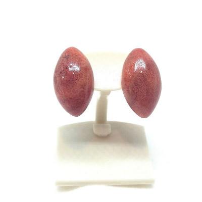 ふるさと納税 伊勢市 珊瑚ピアス・マーキス(アフリカ珊瑚) 2181