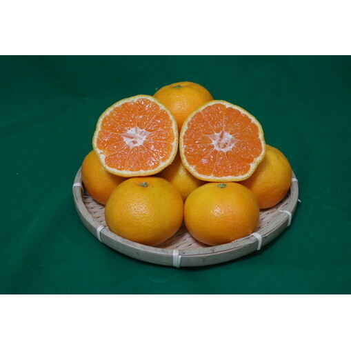 【先行予約】 有田みかん 秀品 約5kg サイズ混合 和歌山県産_イメージ5
