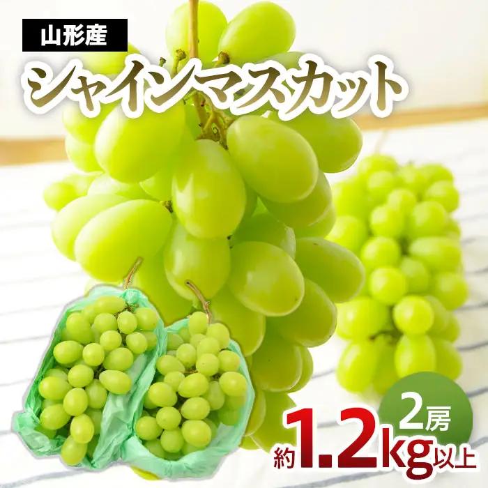 山形のぶどう シャインマスカット 1.2kg以上(2房)[9月中旬～10月中旬お届け]【令和8年産先行予約】FU22-796 くだもの 果物 フルーツ 山形 山形県 山形市 2026年産
