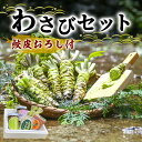 【ふるさと納税】とれたて わさび セット 滝 鮫皮おろし付 生産者直送 生わさび 2本 手作り わさび漬け 天城の春 三杯酢漬け わさびみそ むらさき漬 醤油漬け 伊豆 ワサビ 茎 加工品 加工食品 薬味 鮫皮おろし 詰め合わせ 静岡 【夏ギフト特集】調味料　【 河津町 】