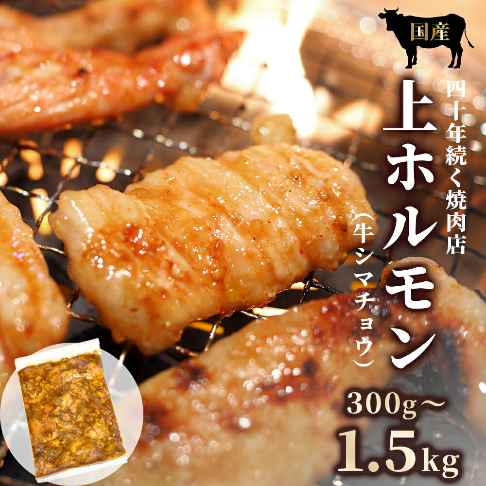 【ふるさと納税】国産 牛ホルモン 上ホルモン 300g～1.5kg 選べる容量 シマチョウ 大腸 味付けホルモン 焼肉 BBQ 牛肉 モツ 味噌だれ 自家製タレ 冷凍 京都府舞鶴市
