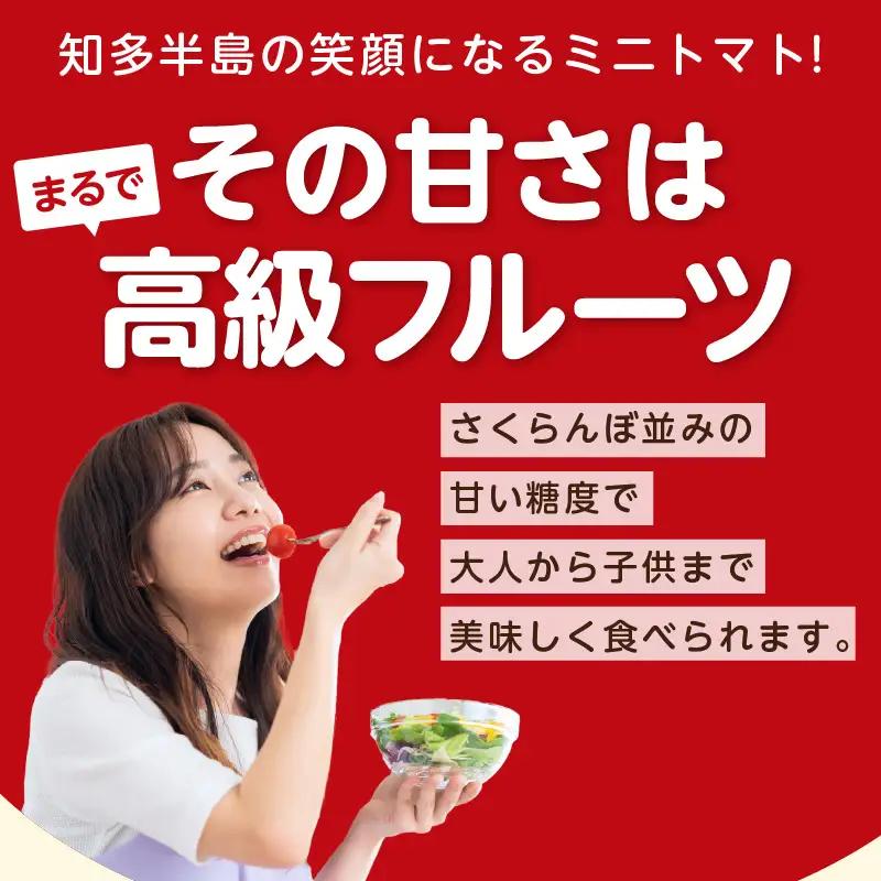 【先行予約】《11月中旬以降発送開始》有機栽培ミニトマト　知多アモーレトマト　約500g｜トマト 野菜 知多市