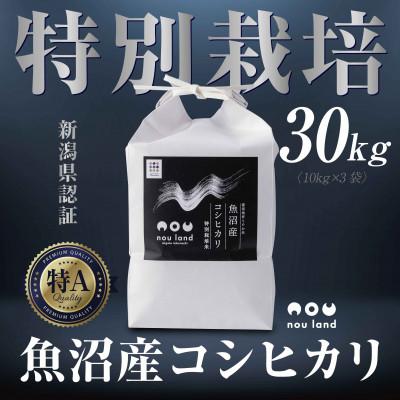 ふるさと納税 十日町市 【令和7年産 新米予約】 魚沼産 コシヒカリ 特別栽培米 10kg ×3袋 十日町市 のうランド