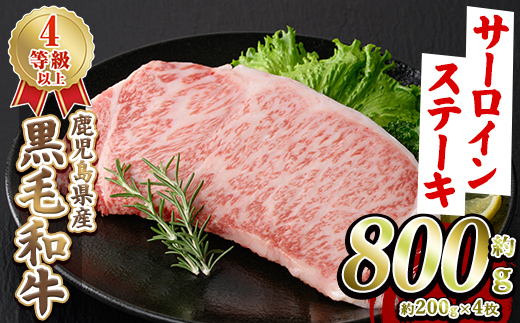 鹿児島県産 黒毛和牛 4等級以上 サーロイン ステーキ (約800g・約200g×4枚) 国産 牛肉 サーロイン ステーキ 4等級 バーベキュー BBQ おかず 冷凍 ステーキ肉 お肉 大判 個包装 【スターゼン】akn042-70