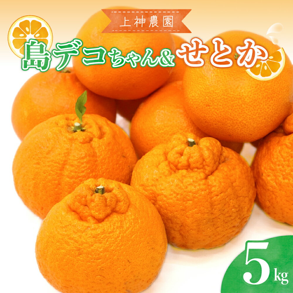 【ふるさと納税】先行予約 島デコちゃん ＆ せとか 柑橘の王室 セット 計 約5kg 【2026年2月中旬～発送】みかん 不知火 せとか 柑橘 果物 フルーツ お取り寄せグルメ ジューシー 甘い しらぬい 食べ比べ 甘味 酸味 果汁 爽やか オレンジ 先行受付 広島県 呉市