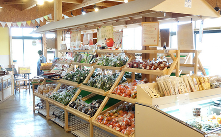【こころん】 安全・安心 福島の恵み 『季節の野菜詰合せ』 セット 朝採れ 福島県産 新鮮 
