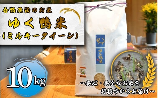 CB-004_合鴨農法のお米「ゆく鴨米」（ミルキークイーン）10ｋｇ～安心･安全なお米を行橋市からお届け