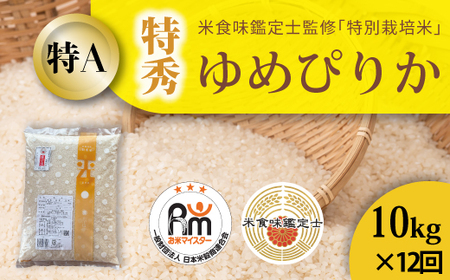 【令和８年産】【定期便】特別栽培米ゆめぴりか(特秀) 10kg×12回 北海道当麻町 舟山農産 減農薬 低農薬【AB-020】