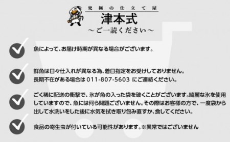 《津本式》へべすぶり 2尾 ～津本光弘本人仕立て～